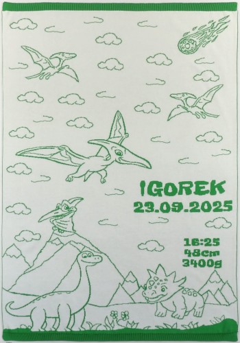 Kocyk Dinozaury Bawełna Organiczna