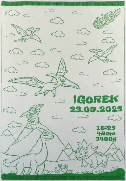 Kocyk Dinozaury Bawełna Organiczna