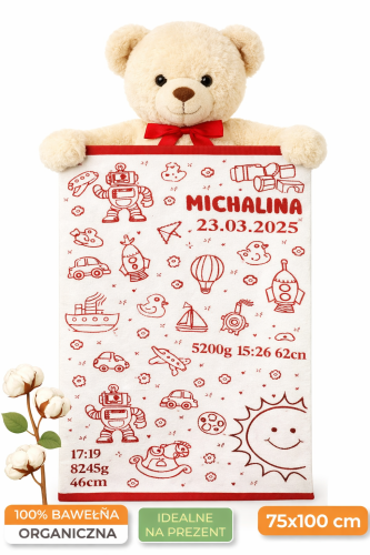 Teddy bear z kocem dla Michałiny.png