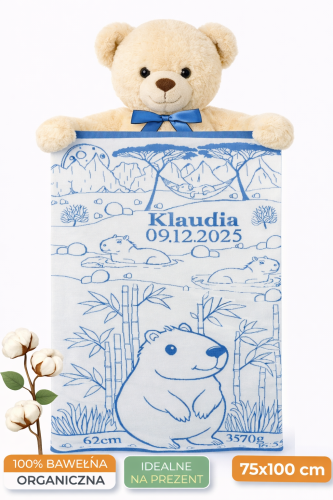 Pluszowy miś z kocykiem Klaudii.png